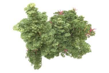 Orman beyaz arka planda izole edilmiş. 3d görüntüleme - illüstrasyon