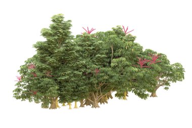 Orman beyaz arka planda izole edilmiş. 3d görüntüleme - illüstrasyon