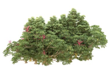 Orman beyaz arka planda izole edilmiş. 3d görüntüleme - illüstrasyon