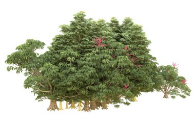 Orman beyaz arka planda izole edilmiş. 3d görüntüleme - illüstrasyon