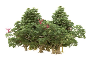 Orman beyaz arka planda izole edilmiş. 3d görüntüleme - illüstrasyon