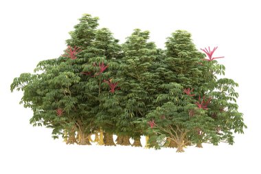 Orman beyaz arka planda izole edilmiş. 3d görüntüleme - illüstrasyon