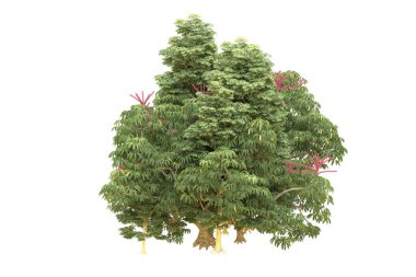 Orman beyaz arka planda izole edilmiş. 3d görüntüleme - illüstrasyon