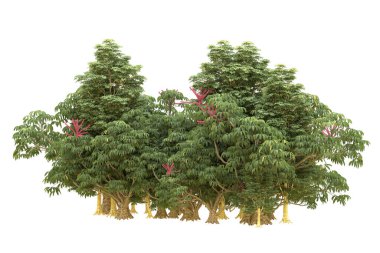 Orman beyaz arka planda izole edilmiş. 3d görüntüleme - illüstrasyon