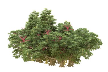 Orman beyaz arka planda izole edilmiş. 3d görüntüleme - illüstrasyon