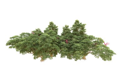 Orman beyaz arka planda izole edilmiş. 3d görüntüleme - illüstrasyon