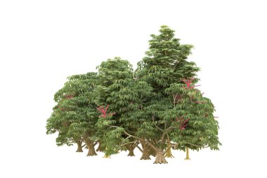 Orman beyaz arka planda izole edilmiş. 3d görüntüleme - illüstrasyon