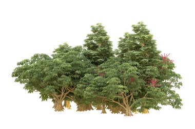 Orman beyaz arka planda izole edilmiş. 3d görüntüleme - illüstrasyon