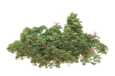 Orman beyaz arka planda izole edilmiş. 3d görüntüleme - illüstrasyon