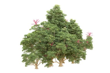 Orman beyaz arka planda izole edilmiş. 3d görüntüleme - illüstrasyon