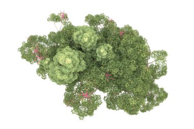 Orman beyaz arka planda izole edilmiş. 3d görüntüleme - illüstrasyon