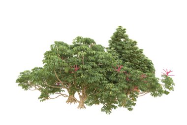 Orman beyaz arka planda izole edilmiş. 3d görüntüleme - illüstrasyon