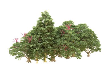 Orman beyaz arka planda izole edilmiş. 3d görüntüleme - illüstrasyon