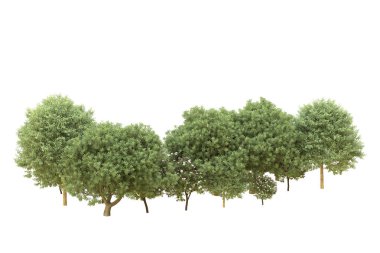 Orman beyaz arka planda izole edilmiş. 3d görüntüleme - illüstrasyon