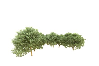 Orman beyaz arka planda izole edilmiş. 3d görüntüleme - illüstrasyon