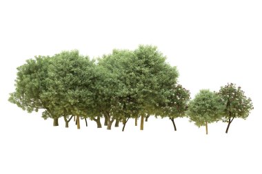 Orman beyaz arka planda izole edilmiş. 3d görüntüleme - illüstrasyon