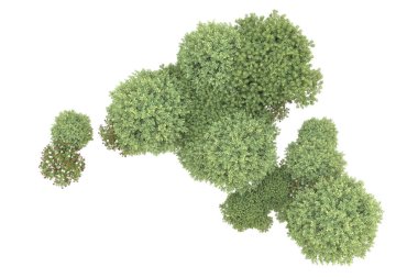 Orman beyaz arka planda izole edilmiş. 3d görüntüleme - illüstrasyon