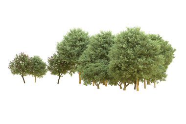 Orman beyaz arka planda izole edilmiş. 3d görüntüleme - illüstrasyon