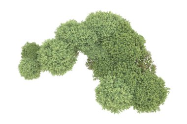 Orman beyaz arka planda izole edilmiş. 3d görüntüleme - illüstrasyon