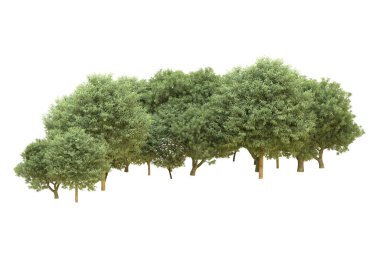 Orman beyaz arka planda izole edilmiş. 3d görüntüleme - illüstrasyon