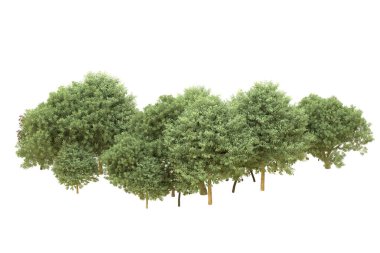 Orman beyaz arka planda izole edilmiş. 3d görüntüleme - illüstrasyon