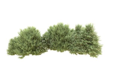 Orman beyaz arka planda izole edilmiş. 3d görüntüleme - illüstrasyon