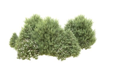 Orman beyaz arka planda izole edilmiş. 3d görüntüleme - illüstrasyon