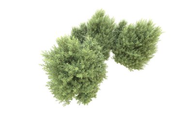 Orman beyaz arka planda izole edilmiş. 3d görüntüleme - illüstrasyon