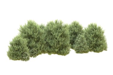 Orman beyaz arka planda izole edilmiş. 3d görüntüleme - illüstrasyon