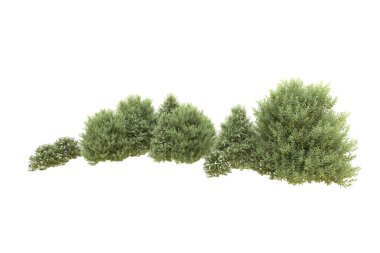 Orman beyaz arka planda izole edilmiş. 3d görüntüleme - illüstrasyon