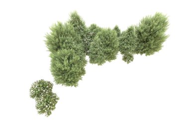 Orman beyaz arka planda izole edilmiş. 3d görüntüleme - illüstrasyon