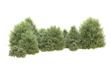 Orman beyaz arka planda izole edilmiş. 3d görüntüleme - illüstrasyon