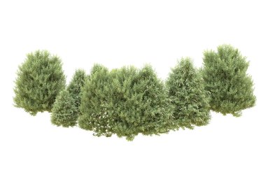 Orman beyaz arka planda izole edilmiş. 3d görüntüleme - illüstrasyon