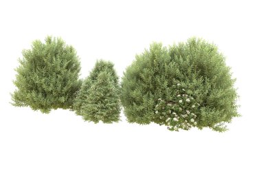 Orman beyaz arka planda izole edilmiş. 3d görüntüleme - illüstrasyon