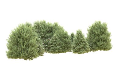 Orman beyaz arka planda izole edilmiş. 3d görüntüleme - illüstrasyon