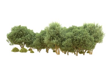 Orman beyaz arka planda izole edilmiş. 3d görüntüleme - illüstrasyon