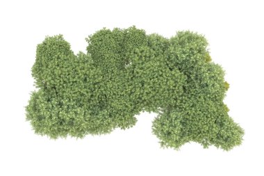 Orman beyaz arka planda izole edilmiş. 3d görüntüleme - illüstrasyon
