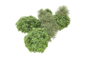 Orman arka planda izole edilmiş. 3d görüntüleme - illüstrasyon