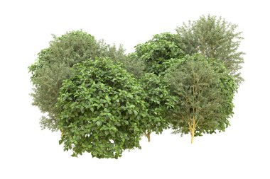 Orman arka planda izole edilmiş. 3d görüntüleme - illüstrasyon