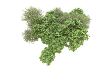 Orman arka planda izole edilmiş. 3d görüntüleme - illüstrasyon