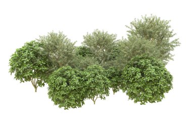 Orman arka planda izole edilmiş. 3d görüntüleme - illüstrasyon