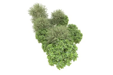 Orman arka planda izole edilmiş. 3d görüntüleme - illüstrasyon