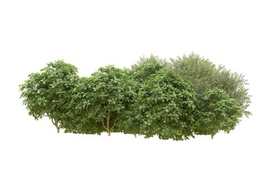 Orman arka planda izole edilmiş. 3d görüntüleme - illüstrasyon