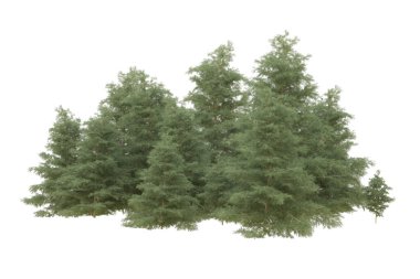 Orman beyaz arka planda izole edilmiş. 3d görüntüleme - illüstrasyon