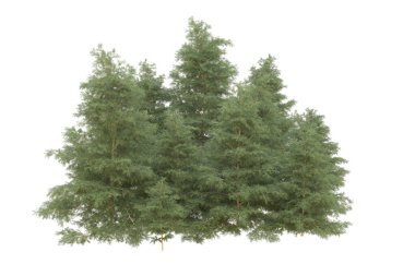 Orman beyaz arka planda izole edilmiş. 3d görüntüleme - illüstrasyon