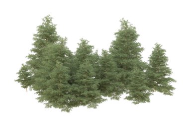 Orman beyaz arka planda izole edilmiş. 3d görüntüleme - illüstrasyon