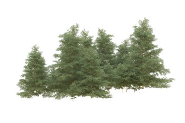 Orman beyaz arka planda izole edilmiş. 3d görüntüleme - illüstrasyon