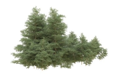 Orman beyaz arka planda izole edilmiş. 3d görüntüleme - illüstrasyon