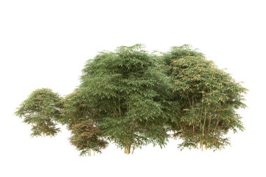 Orman arka planda izole edilmiş. 3d görüntüleme - illüstrasyon