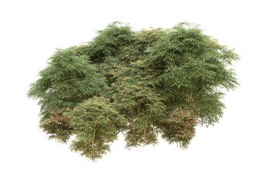 Orman arka planda izole edilmiş. 3d görüntüleme - illüstrasyon